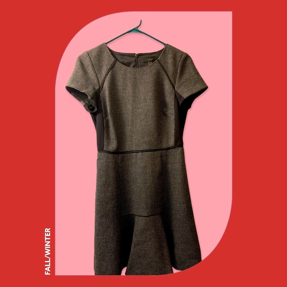 🌸J. Crew 💕Fall / Winter Dress
